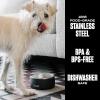 imageSwell Stainless Steel Pet Bowl 32oz Onyx for Small to Medium Size Dogs Mess Free Design with Non Slip Rubber Bottom Dishwasher Safe BPA FreeOnyx