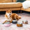 imageSwell Stainless Steel Pet Bowl 32oz Onyx for Small to Medium Size Dogs Mess Free Design with Non Slip Rubber Bottom Dishwasher Safe BPA FreeOnyx
