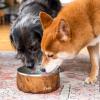 imageSwell Stainless Steel Pet Bowl 32oz Onyx for Small to Medium Size Dogs Mess Free Design with Non Slip Rubber Bottom Dishwasher Safe BPA FreeTeakwood