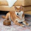 imageSwell Stainless Steel Pet Bowl 32oz Onyx for Small to Medium Size Dogs Mess Free Design with Non Slip Rubber Bottom Dishwasher Safe BPA FreeTeakwood