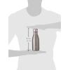imageSwell Stainless Steel Water Bottle 25oz Goals Triple Layered Vacuum Insulated Containers Keeps Drinks Cold for 48 Hours and Hot for 24 BPA Free Perfect for On the GoSilver Lining